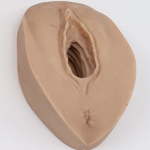 Modello Chirurgico per Episiotomia e Sutura, Risorse Didattiche Mediche, Pratica Chirurgica per Ospedali e Scuole Mediche - Product Image 6