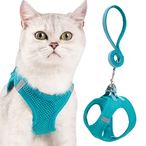 Custom Flower Design Luxo Pet Cat Dog Harness Set Nenhuma tração 2023 Cat Collar Leash Set Brilho ajustável no escuro personalizado