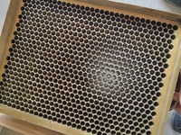 Machine de Fabrication de Craie d'École, Moule pour Craie de Tableau Noir