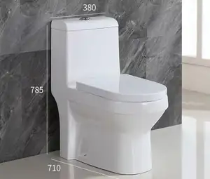 Toilette une pièce moderne d'Amérique du Sud Inodoro sanitaire à double chasse d'eau 300mm Siphon