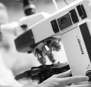สำหรับกล้องจุลทรรศน์ชีวภาพ Axioscope5 พร้อมจอแสดงผล LED และระบบโฟกัสแบบแมนนวล - ภาพคมชัด ประหยัดเวลาและมีประสิทธิภาพ - Product Image 5