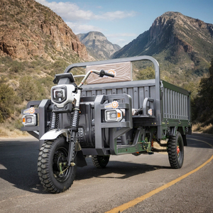 Mini camion à benne basculante électrique à 3 roues, tricycle de fret avec benne ouverte pour l'agriculture, écologique, capacité de charge de 400 kg - Product Image 6