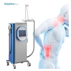 Newest Machines Double Channels Emfieldpro Magneto Therapy Rehabilitation Physical PMST MAX DUO Pain Machines