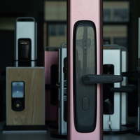 Serrure de porte intelligente OEM en gros avec contrôle par application Tuya WiFi, entrée sans clé biométrique, sans mortaise requise