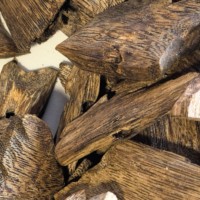 Eco001B Agarwood/Oud Grandes Copeaux 1A 5-6Y Parfum Boisé Épicé Herbacé Floral Menthe Poivrée Miel Soluble dans l'Eau Purificateur d'Air Pur