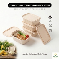 Boîte à emporter biodégradable en amidon de maïs, type clamshell, pour repas, micro-ondable, anti-fuite, 700 ml