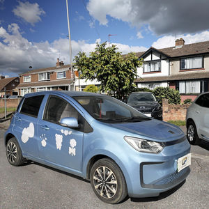 Voiture électrique miniature JAC New Energy <span class=keywords><strong>SOL</strong></span> E10X 2021, automatique, conduite à gauche, 200 km d'autonomie, fiable, vente chaude, option de commande en gros B2B - Product Image 1