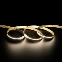 Bande lumineuse LED haute densité 12V 2025 336 LED/m 1300lm/m Haute luminosité 3000K Blanc chaud 10mm de largeur IP20 Télécommande