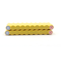 Batterie rechargeable Ni-Cd AA600mah 12V pour lampes d'urgence, machines pour femmes, systèmes extérieurs