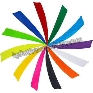 Flecha de tiro <span class=keywords><strong>con</strong></span> arco de ala Natural Real mixta, paletas Fletching, pluma de pavo para DIY, tiro <span class=keywords><strong>con</strong></span> arco, caza, tiro al blanco, accesorio de flecha - Product Image 3