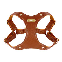 Ensemble laisse et harnais pour chien en cuir véritable de luxe, imperméable, anti-adhérent aux poils, anti-traction, pour chiens de petite et moyenne taille