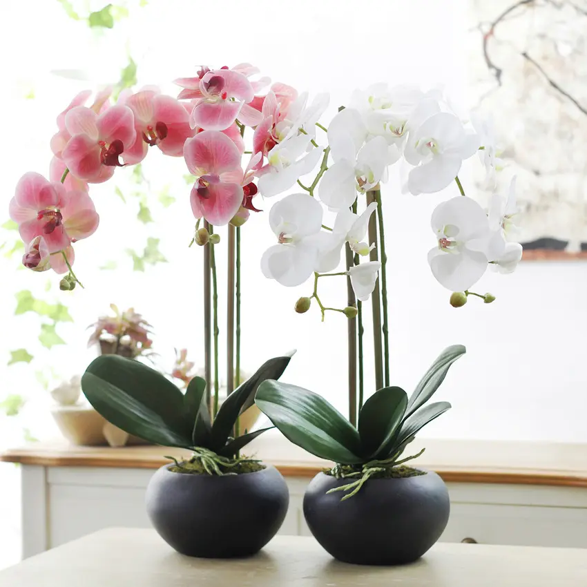 Nordic simulation plant long branch phalaenopsis orchid potted home living room decoration flowers