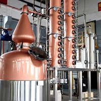 Équipement de distillation clé en main pour 1000 litres de vodka avec cuve de fermentation, générateur de vapeur et système de contrôle PLC