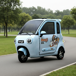 Tricycle électrique 60V 1200W, moto-tricycle, vélo électrique pour passagers, idéal pour les visites touristiques dans les zones panoramiques, tricycle électrique à <span class=keywords><strong>3</strong></span> roues - Product Image 1