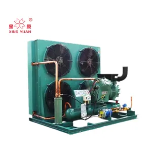 cold room refrigeration unit condensing unit power saving refrigeration unit for cold storage