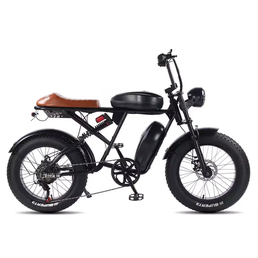 Electric Bicycle For Sale Warehouse 1000W Hub Motor Electric Bicycle Motor Long Range Customized Color Fat Bike