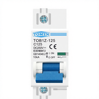Disjoncteur miniature DC 1P 100A 250V pour système photovoltaïque, courbe C, interrupteur principal de batterie, montage sur rail DIN, modèle TOB1Z-125