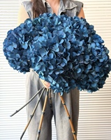 Fabrieksgroothandel decoratieve gedroogde en geconserveerde grote blad hortensia's, eeuwige blauwe hortensia bloemen voor Kerstmis en Valentijnsdag