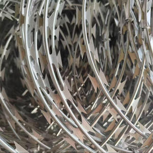 Filo Spinato Galvanizzato a Forma di Serpente, Rete Saldata a Spirale Anti-Arrampicata, Barriera in Acciaio - Product Image 4