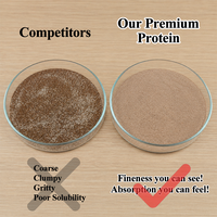 Poudre de protéines de lactosérum 100% OEM Double Rich Chocolate 1,98 livre Suppléments sportifs et de remise en forme pour adultes 24g 29 portions