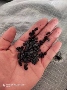 Pierres roulées noires du Vietnam gravier de galets en pierre naturelle de taille miniature - Product Image 5