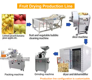 Large Fruit Dehydrator Plantain Powder Making Dryer for Green Banana Mango Lemon Drying Machine Price - Product Image 4
