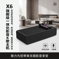 Enceinte de karaoké sans fil pour fête, audio domestique, double microphone X6