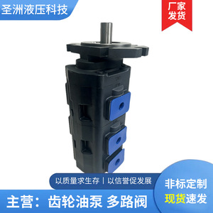 Pompe à engrenages triple haute pression Shengzhou Hydraulics JHP 80/80/63 pour plateforme de forage et chargeuse - Product Image 5