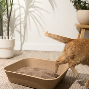 [ETICAT] Coffee Grounds <b>Cat</b> <b>Litter</b> Low Tracking Formula Keeps <b>Litter</b> Inside the <b>Box</b> Where It Belongs <b>Cat</b> <b>Litter</b> - Product Image 4