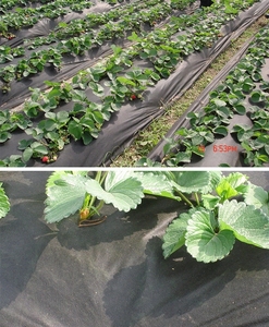 Vải Không Dệt <span class=keywords><strong>Pp</strong></span>/Tái Chế Chất Thải <span class=keywords><strong>PP</strong></span> Vải Không Dệt 3% UV <span class=keywords><strong>PP</strong></span> Spun Bond Nông Nghiệp Không Dệt/Spun-Bonded Nông Nghiệp - Product Image 3