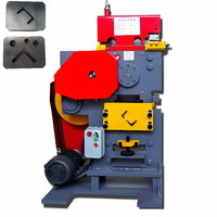 Machine de découpe et de poinçonnage multifonctionnelle en métal, moteur électrique 2,2 kW, force de 360 kN pour la découpe de plaques de fer