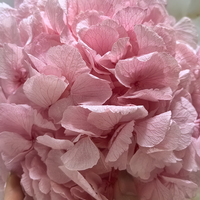 Bunga Hydrangea Pink Tunggal untuk Dekorasi Pesta, Bunga Hias untuk Latar Belakang Acara, Hiasan Meja, Dekorasi Floral