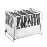 Moules à Popsicle Ataforma brésiliens en acier inoxydable 304 Nouvelle condition pour la fabrication de sucettes glacées à base de fruits