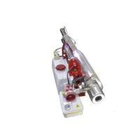 BW25 Nébuliseur Portable à Fumée ou Brume, Alternative Économique à la Machine de Nébuleuse Thermique Allemande SwingFog