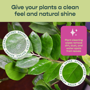 Салфетки для чистки растений нежные салфетки на растительной основе для блестящих листьев и лучшего фотосинтеза без запаха для комнатных и наружных растений - Product Image 4