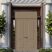 Porte extérieure double en polymère avec design moderne et surface finie pour maison, villa, chambre, supermarché, école, hôtel