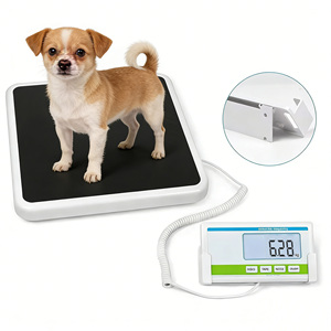 <span class=keywords><strong>Balance</strong></span> numérique de laboratoire en acier inoxydable de qualité médicale avec écran LCD, capacité 300 <span class=keywords><strong>kg</strong></span>/660 lb, pour expédition postale, OEM - Product Image 2