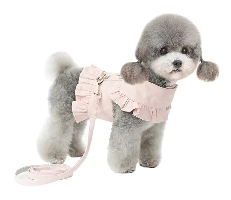 Новинка 2023, дизайнерский популярный милый весенне-летний стильный жилет для собак с поводком и D-образным кольцом, одежда для домашних животных