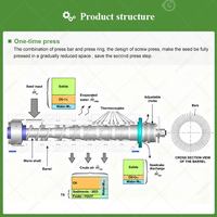 1-2t/u 3 T/u Pinda-extractie koudgeperste mosterdmolenproces palmoliepersmachine installatie in Pakistan