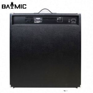 Amplificador Activo Profesional de 15 Pulgadas y 250W para Bajo Acústico, Guitarra, Teclado, Combo de Altavoces para Escenario y DJ - Product Image 2