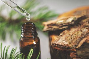 Natural Pine Oil for Cosmetic Manufacturing and <b>Personal</b> Care Applications High Purity Botanical Oil for Skincare Hair Oils - Product Image 6