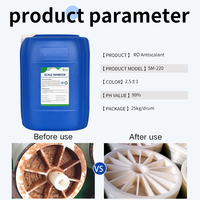 WaveClean Inhibiteur de Corrosion et d'Entartrage Organophosphoré pour Système d'Osmose Inverse, Agent Anticalcaire pour Eau Dure