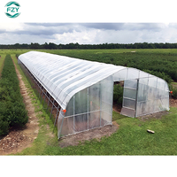 Prix commercial de M2 Serre agricole Arches Poly Professional Tunnel serre verte/serre de tomates à vendre