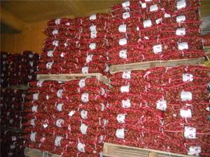 Châtaignes chinoises de nouvelle récolte en gros, châtaignes brutes, châtaignes fraîches, <span class=keywords><strong>prix</strong></span> <span class=keywords><strong>au</strong></span> <span class=keywords><strong>kg</strong></span> en sac - Product Image 2