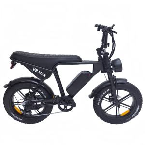 Nederland 48V électrique VTT Fatbike prêt à l'emploi 24-20 pouces gros pneu Ebike moto Tube <span class=keywords><strong>pas</strong></span> <span class=keywords><strong>cher</strong></span> EU électriquement prêt vélo - Product Image 6