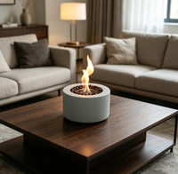 Cheminée au bioéthanol compacte haut de gamme de designer, base ronde, flamme réelle vive, ornement élégant pour table basse ou comptoir