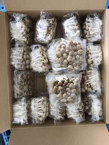 DETAN Fábrica Chinesa Cultivado Exportado Exótico Fresco Caranguejo Branco Shimeji <span class=keywords><strong>Mushroom</strong></span> Price - Product Image 5