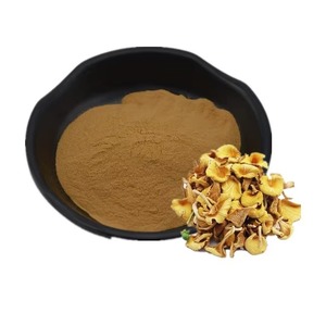 Extracto de <span class=keywords><strong>Cantharellus</strong></span> <span class=keywords><strong>Cibarius</strong></span>/Extracto de Hongo Chanterelle con 10% de Polisacáridos, Suministro de Fábrica con Certificación ISO - Product Image 1