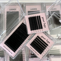 Logo privé 6/12 lignes Hybrid Wispy Mega volume 03 05 07 C D CC volume individuel ventilateur facile fournitures extensions de cils en cachemire