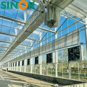 โรงเรือนกระจกเวนโล Sinok ขายดี พร้อมชุดอุปกรณ์ครบครัน โรงเรือนเพาะปลูกแบบหลายช่วงพร้อมระบบบังแดด สำหรับฟาร์มมะเขือเทศ - Product Image 5